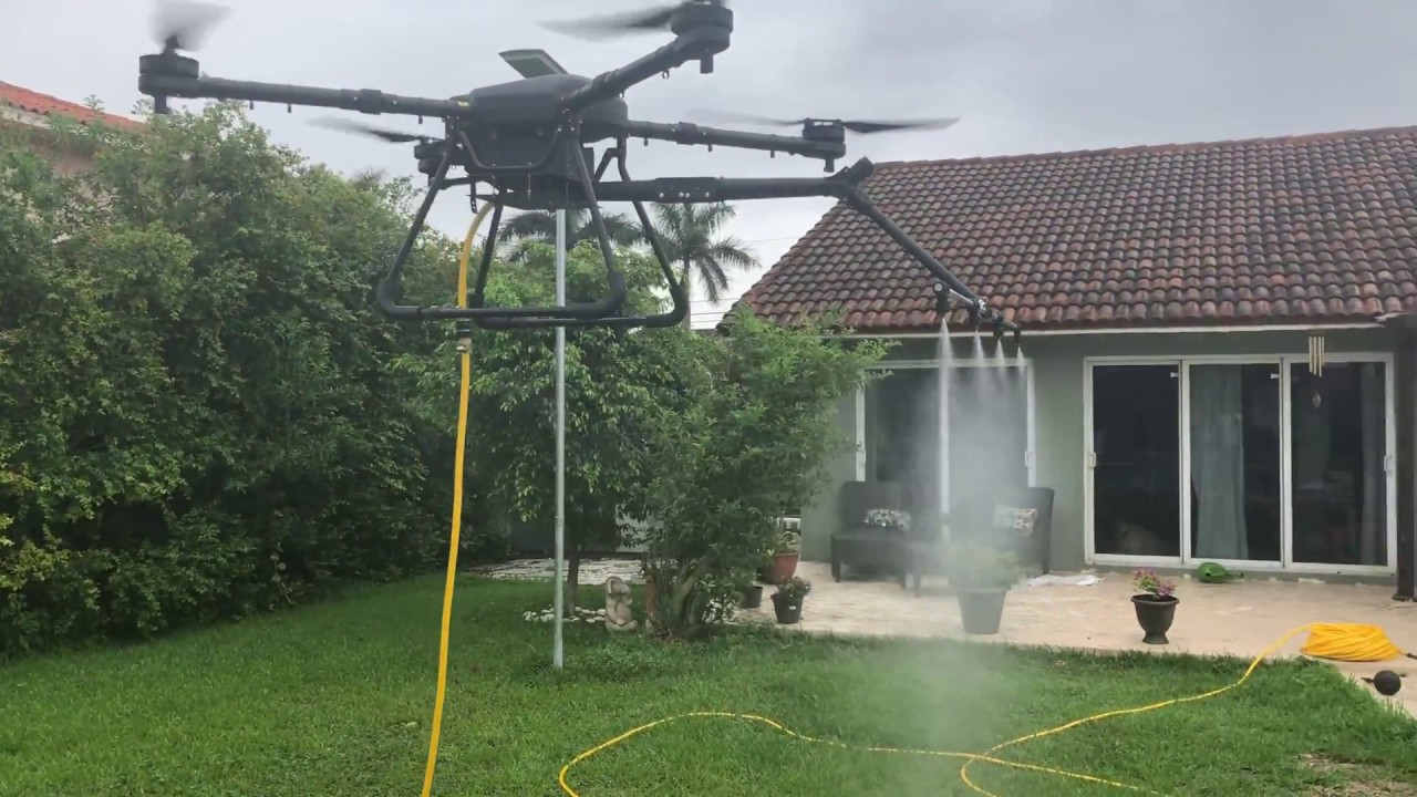 roof cleaning