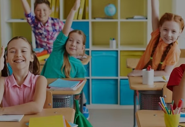 K12 books wholesaler