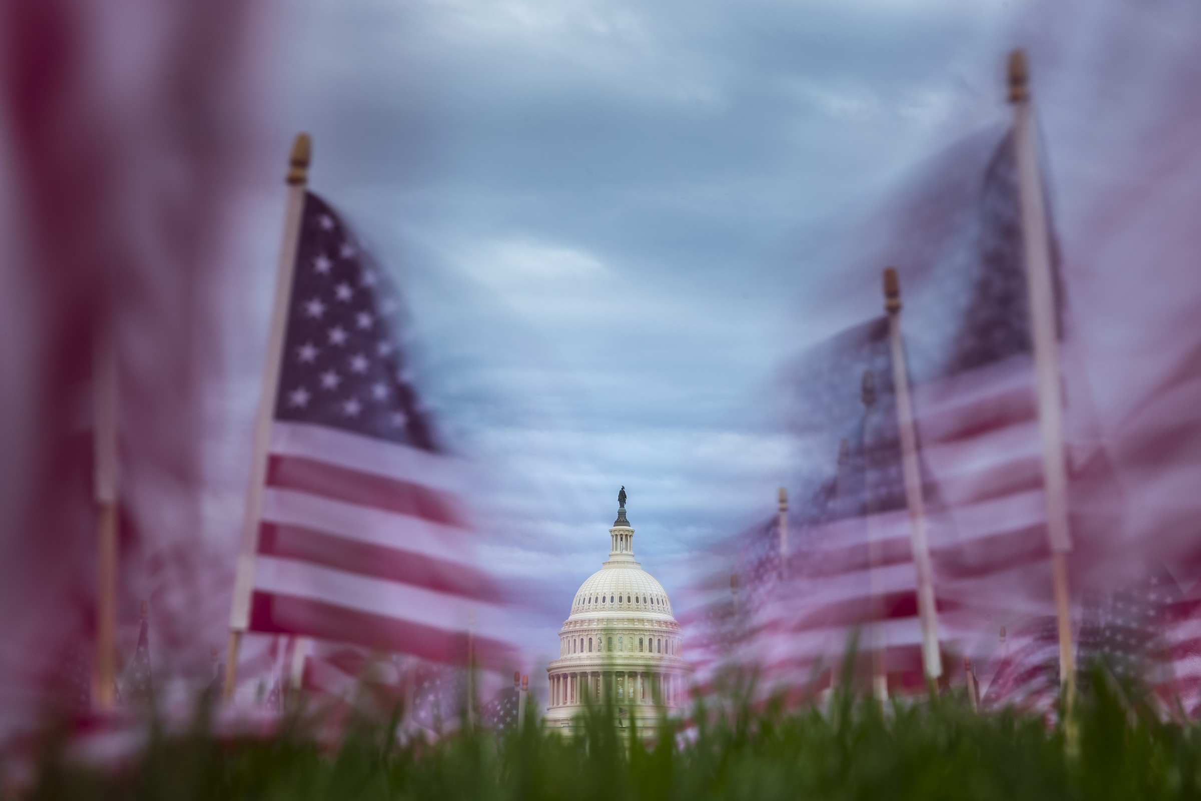 American flags along the National Mall on Nov. 10, 2025 in Washington, D.C.