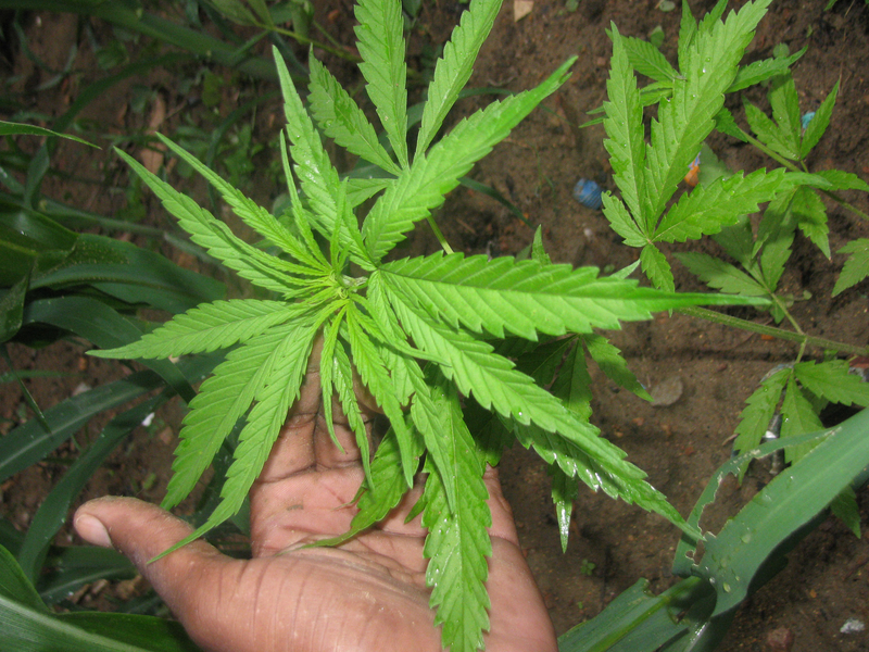 1c1f22c2afaae7468f07aa7c7527547a Eileen Inc. Secures $1M Pre-Seed to Scale AI-Driven Retail Execution Platform