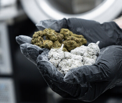 FX-8 Infusion von Snow Caps