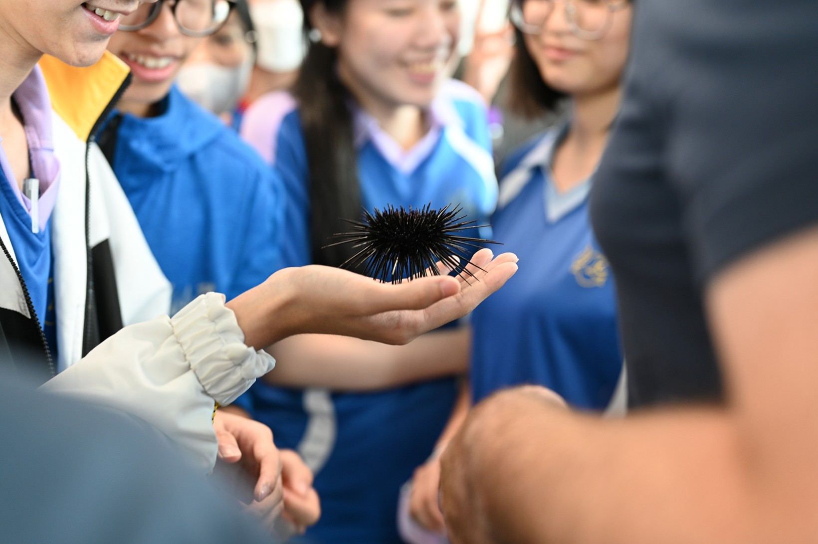 The "Smart Ocean" AI-Powered STEAM Curriculum