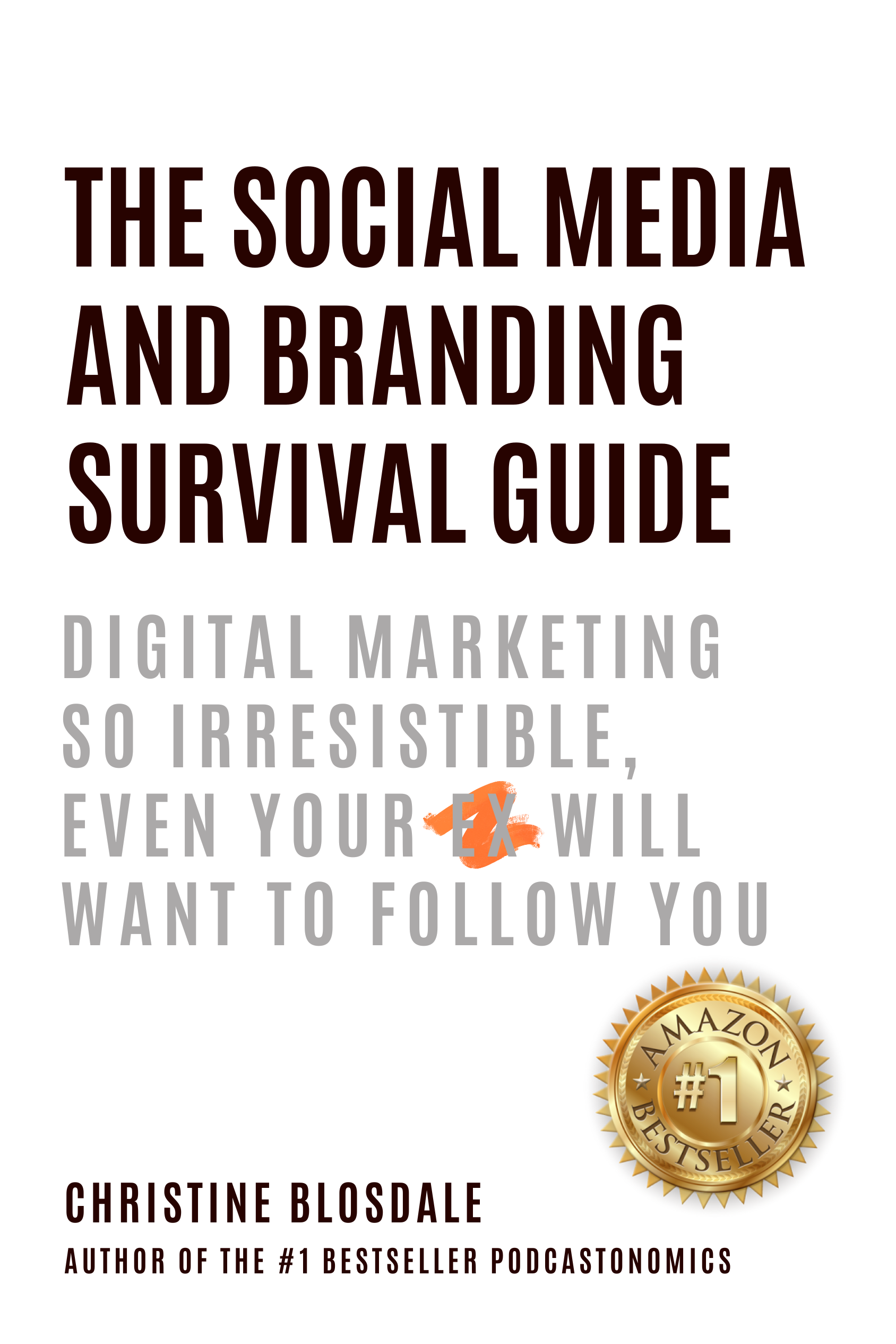The Social Media and Branding Survival Guide Paperback