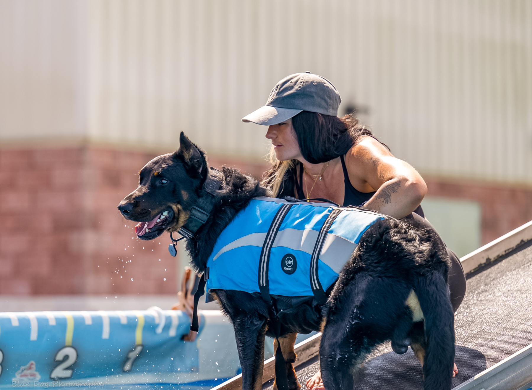 Gabrielle Franze Redline K9 Training Florida