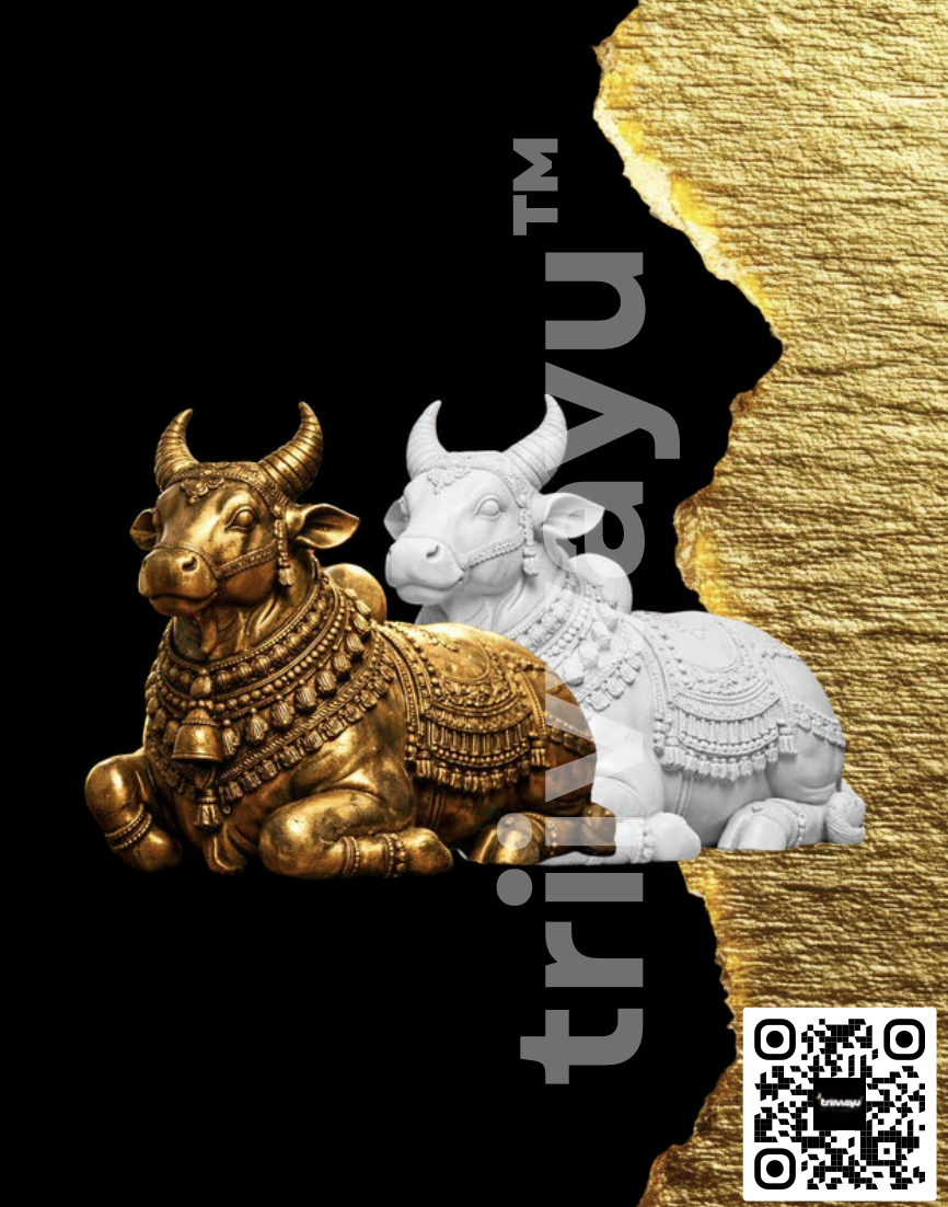 Triivvayu Museum Grade Lord Nandi Life and Miniature