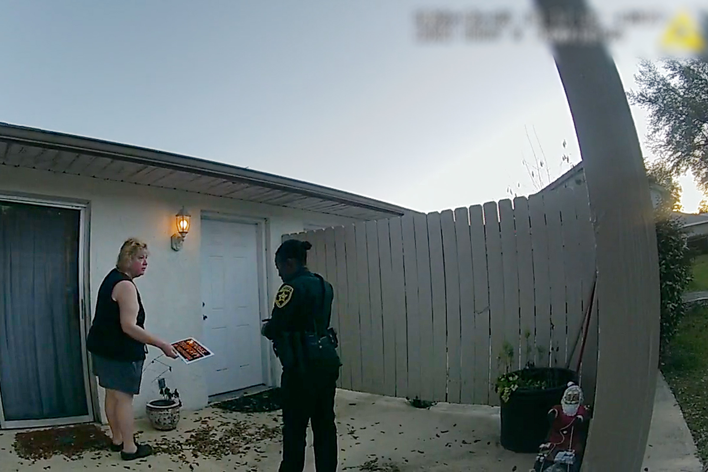 The Perfect Neighbor